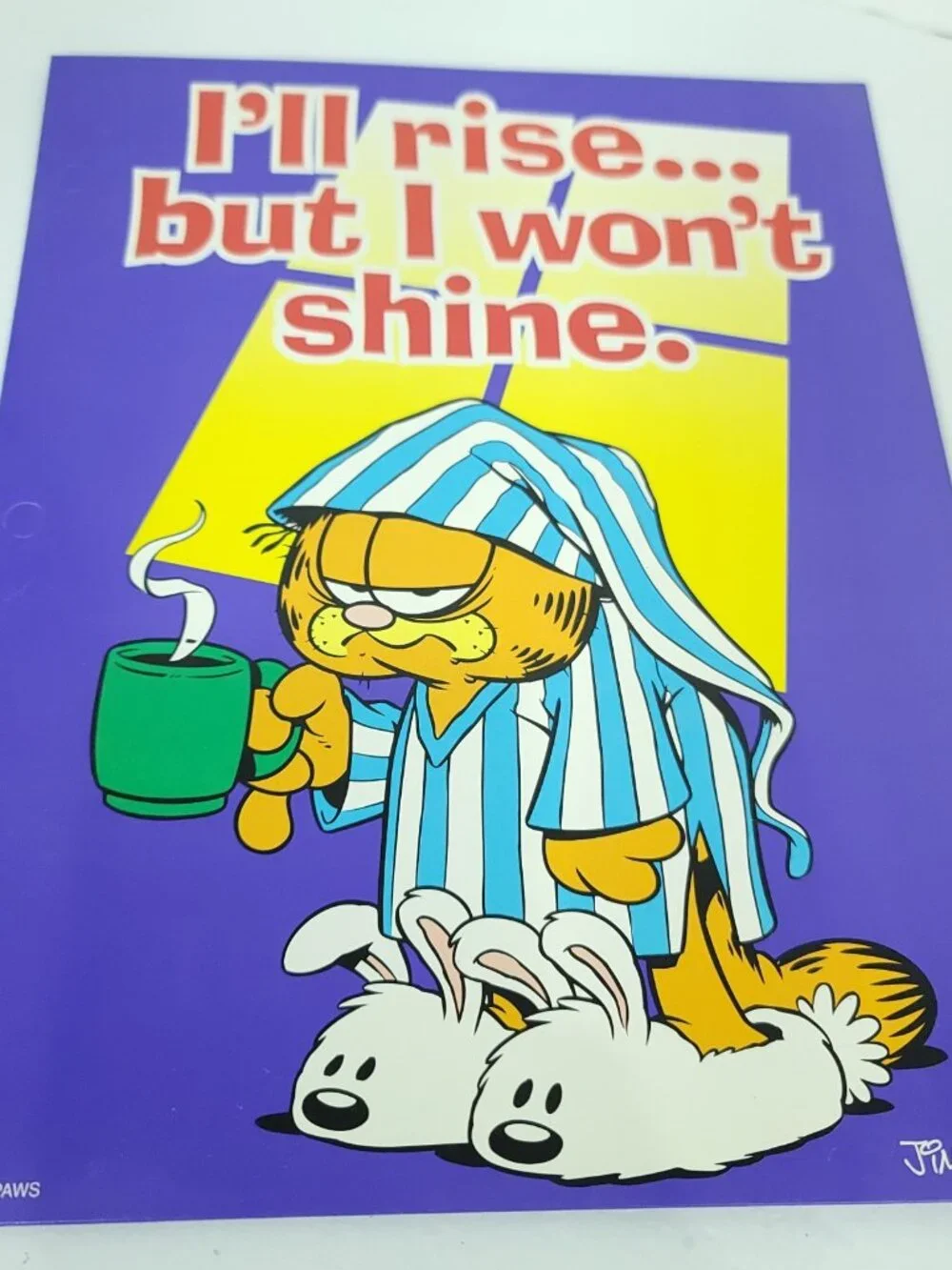 Lot of 5 Vintage Garfield Jim Davis School Folder Mead Bad Boyz Attack Cat Paws